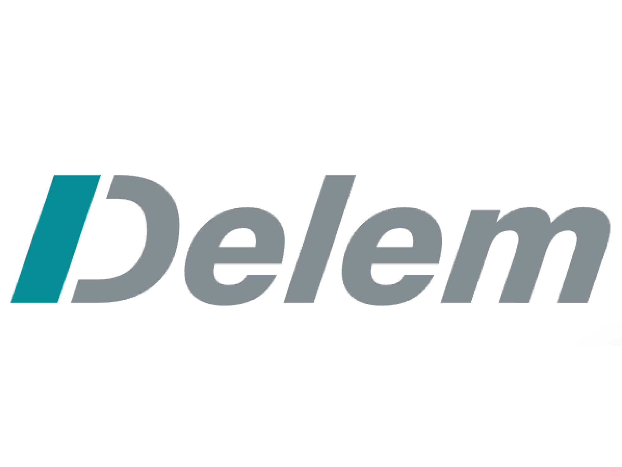 DELEM logo